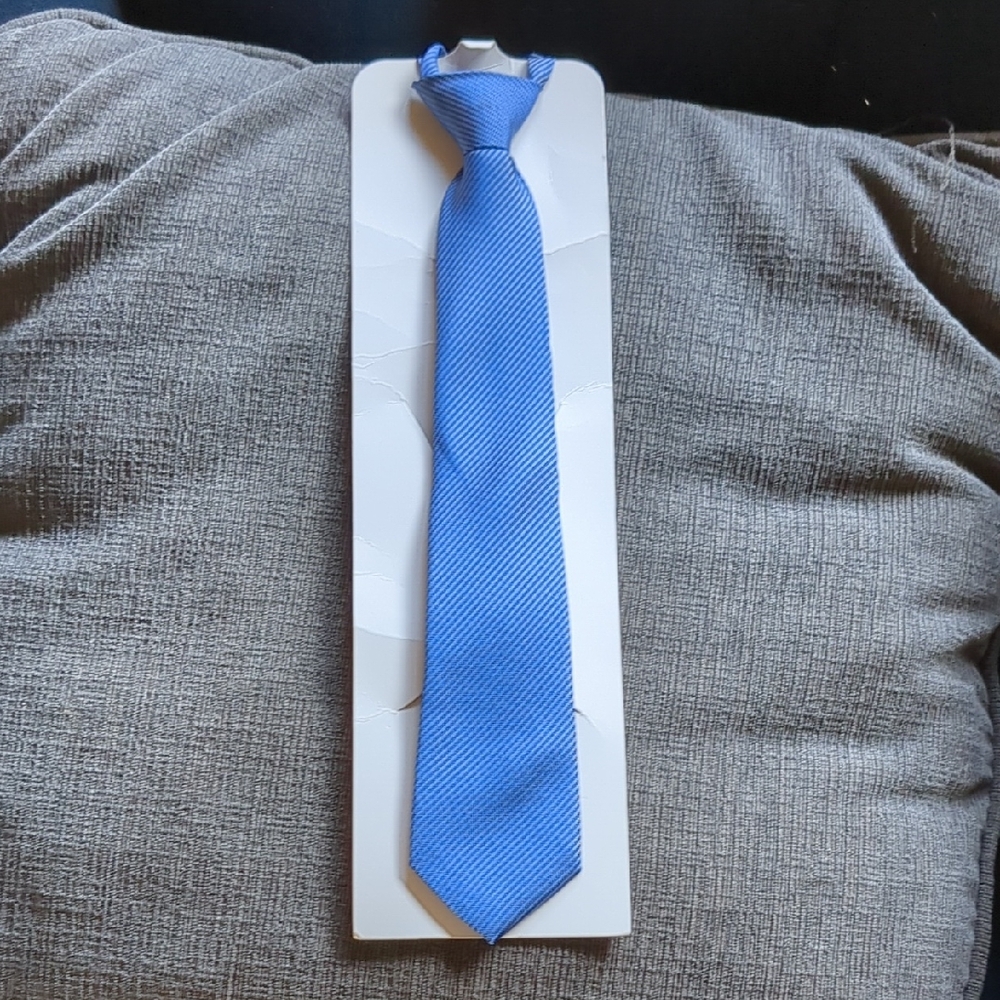 Elegant Blue Necktie